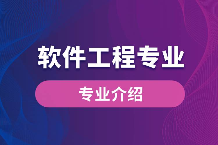 软件设计与开发 从需求到创新的工程实践