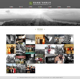 西安卓奥广告与硅峰网络 企业信息化建设的专业伙伴